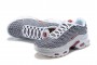 Cheap Mens Air Max Plus Tn Grey and White Sneakers